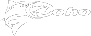 Coho Pack and Carry Box, L14.88